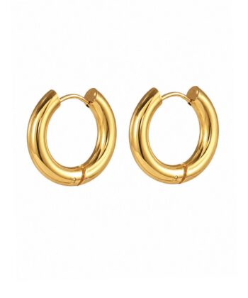 Ohrringe Creolen Chunky Edelstahl Gold